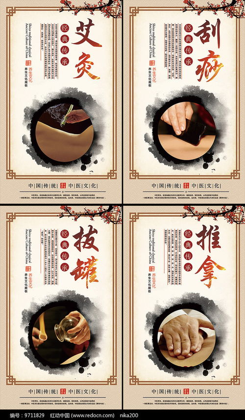 中醫(yī)養(yǎng)生智慧 艾灸保健展板設(shè)計(jì)鑒賞與養(yǎng)生服務(wù)指南