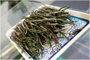 光明九斛堂閃耀上海國際食博會，引領(lǐng)食養(yǎng)健康新服務(wù)