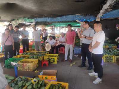 桂平市供銷合作社赴田陽區(qū)考察學習 探索農(nóng)副產(chǎn)品銷售新路徑