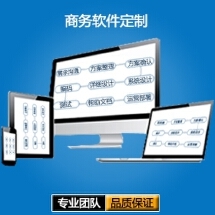 軟件服務(wù)外包 價格體系詳解與VIP九品服務(wù)模式